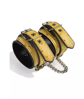 Quill Bondage Kit
