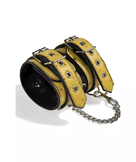 Quill Bondage Kit