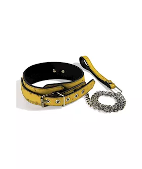 Quill Bondage Kit