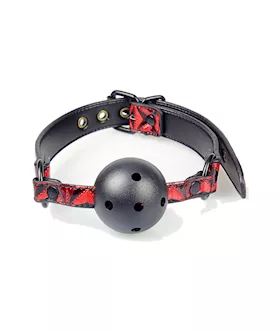 Bexley Bondage Kit