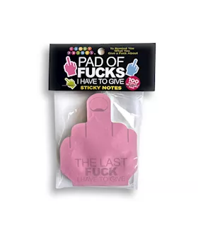 Last Fuck I Have To Give Sticky Notes 100 Pack