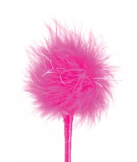 Ff Feather Crop