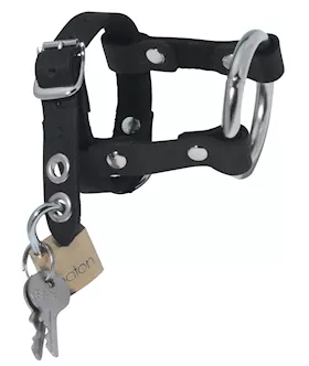 Locking Leather Cock And Ball Harness