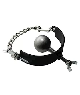 Pure Steel 2 Inch Ball Gag