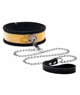 Golden Metal Leash And Collar Set