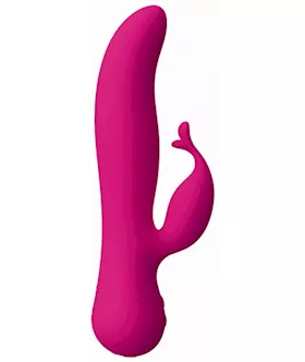 The Kissing Swan