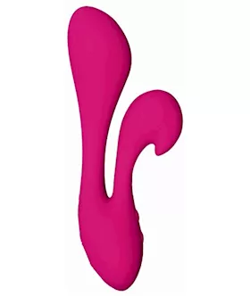 The Silhouette Swan