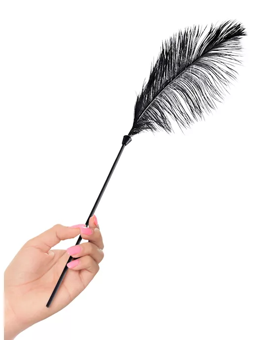 Fetish Fantasy Series Limited Edition Love Plumes