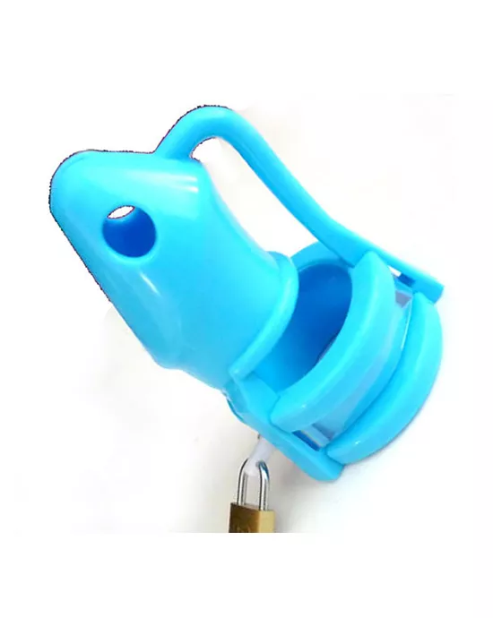Lock It Down Male Chastity Device