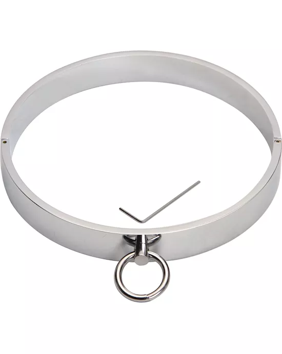 Lockable Metal Collar