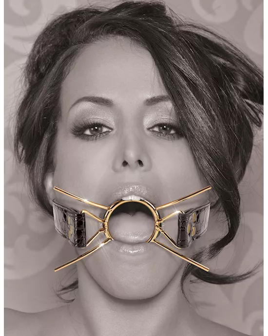 Fetish Fantasy  Deluxe Spider Gag