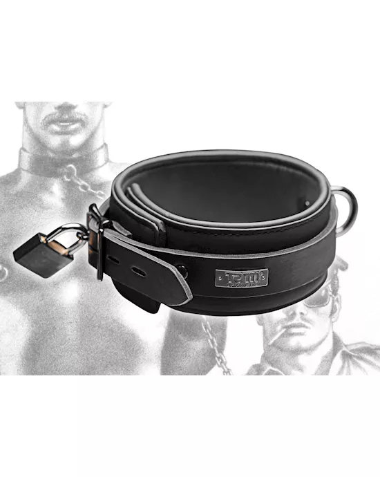 Neoprene Collar