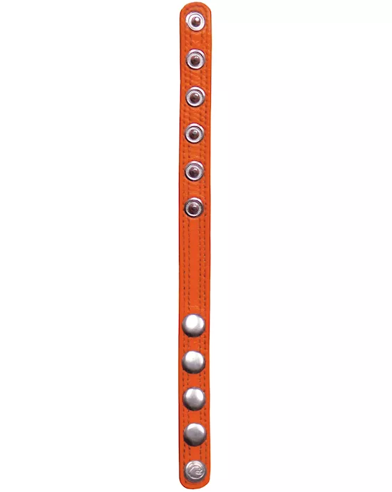 Code Bands Orange Up for Anything