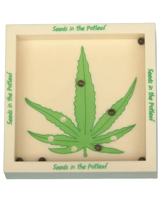 Seeds in the Potleaf