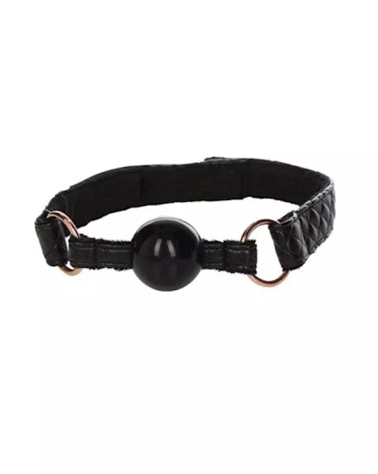 Entice Ball Gag