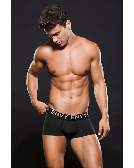 Envy Micro Lowrise Logo Elastic Trunk M L