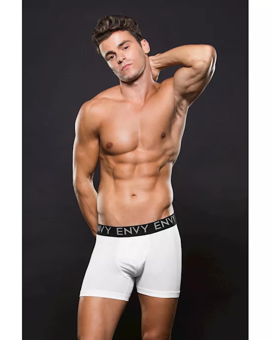 Envy Micro LowRise Logo Elastic Boxer M L