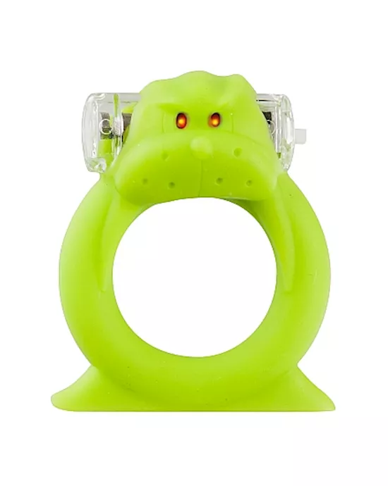Wicked Walrus