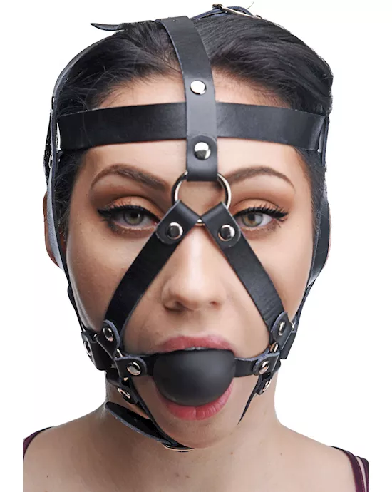 Leather Head Harness with Ball Gag