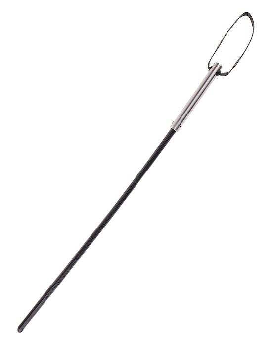 Fetish Fantasy Extreme Insane Cane