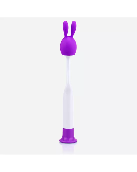 PoP Rabbit