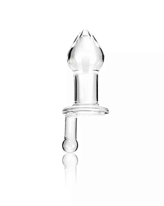 5 Glass Juicer