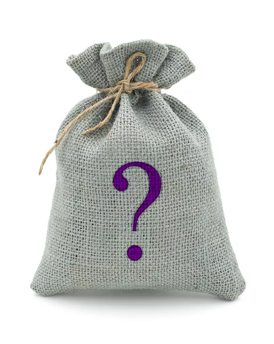 Mystery Bag - Dildo