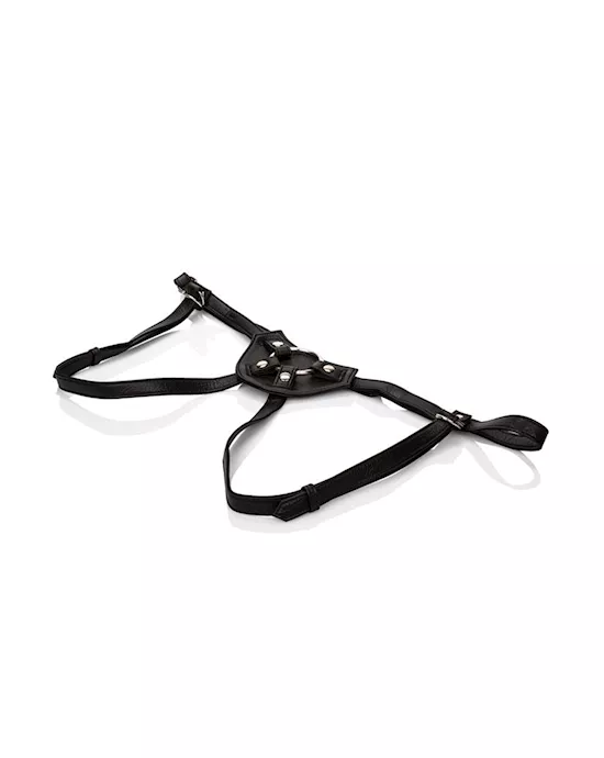 Her Royal Harness The Countess