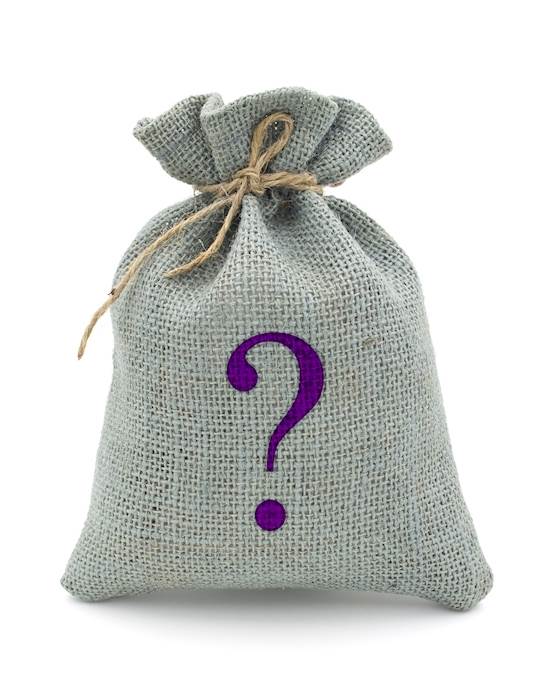 Mystery Bag - Womans Lingerie - Size M/l