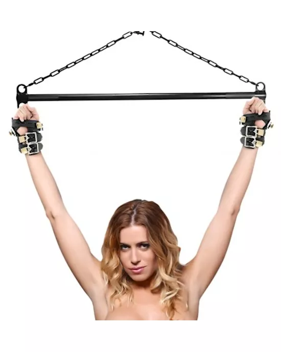 Strict Leather Four Buckle Suspension Cuffs