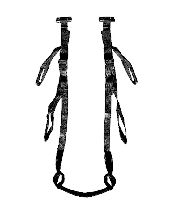 Deluxe Door Swing