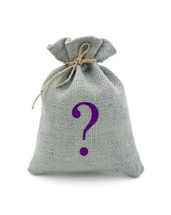 Mystery Bag - Christmas Promo Clit Suction Toy