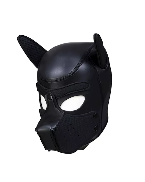 Mans Best Friend Puppy Hood