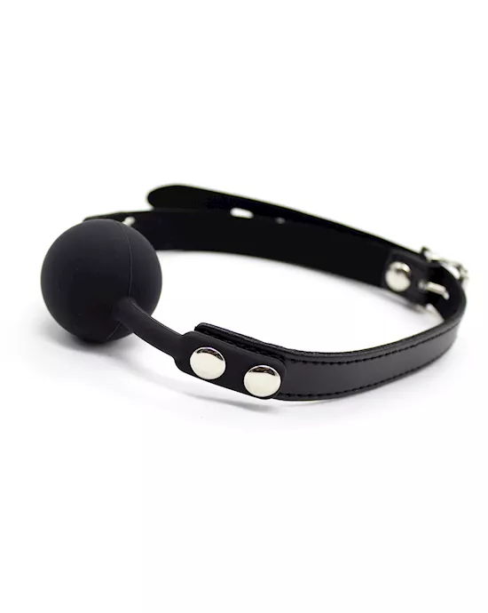 The Classic Ball Gag