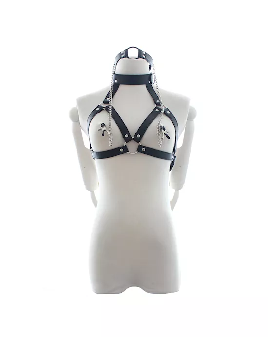 Ultimate Satisfaction Harness