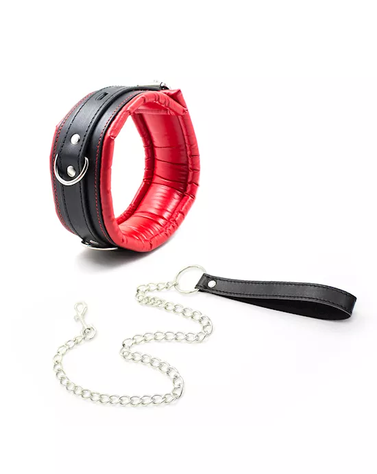 Soft Padded Collar And Leash