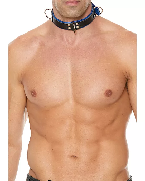 Deluxe Bondage Collar