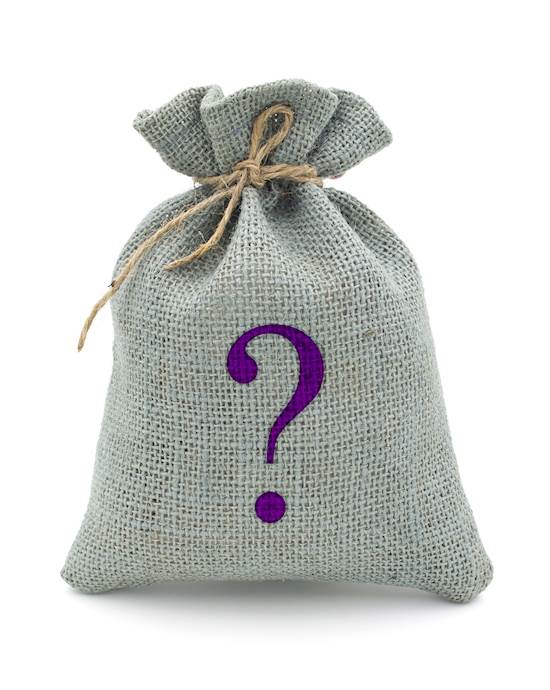 Mystery Bag - Sex Toys - Platinum