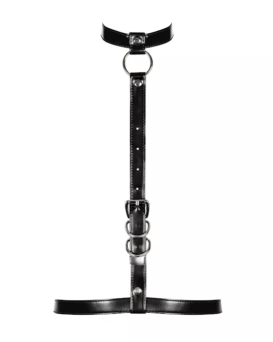 Obsessive Destiny - Harness