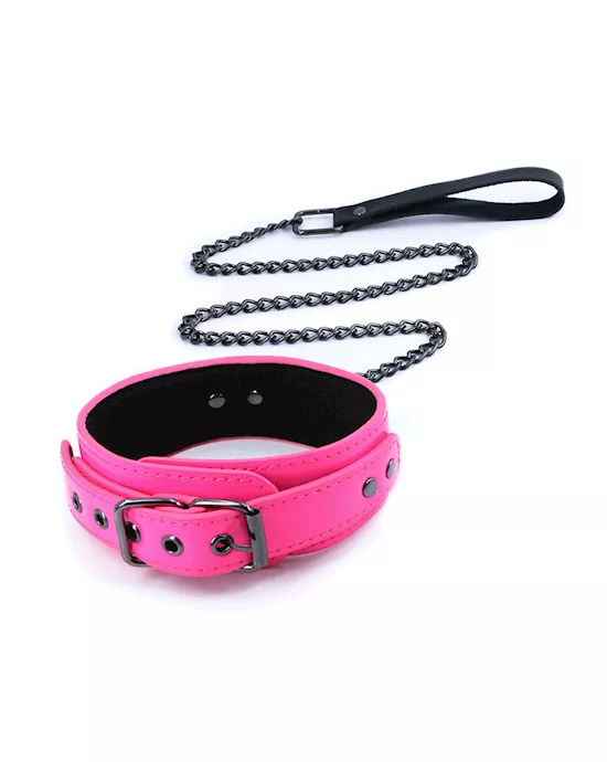 Electra Collar & Leash