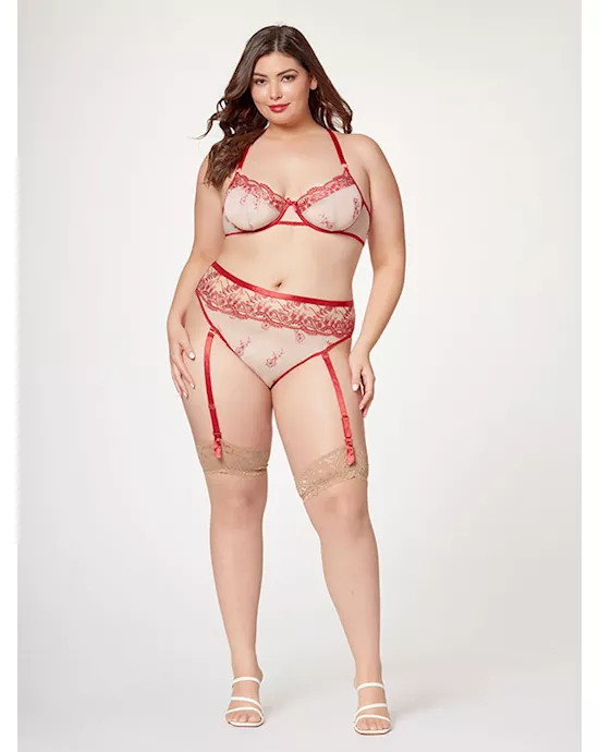 Sheer Elegance Two Piece Bra Set STM-11484X-Red-1X/2X