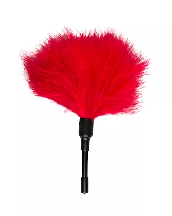 EasyToys Small Feather Tickler