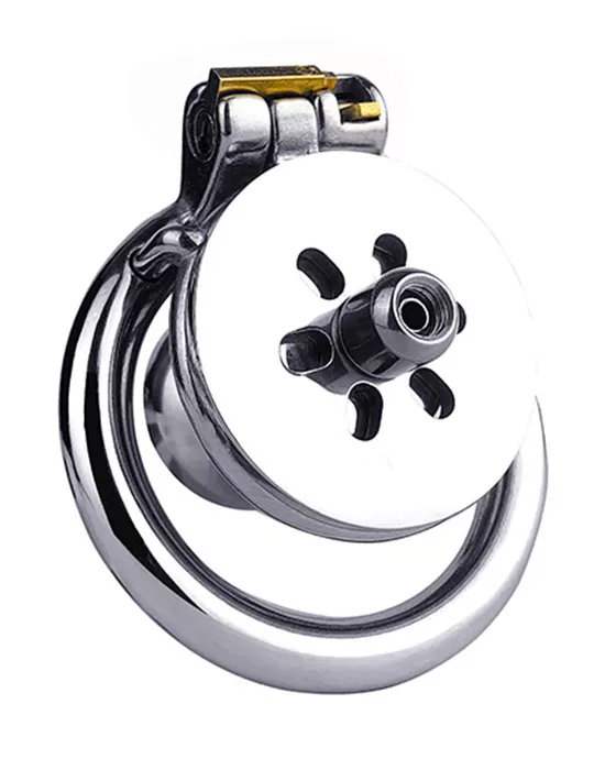 Button Key Locked Inverted Chastity Cage with Dildo Attachment