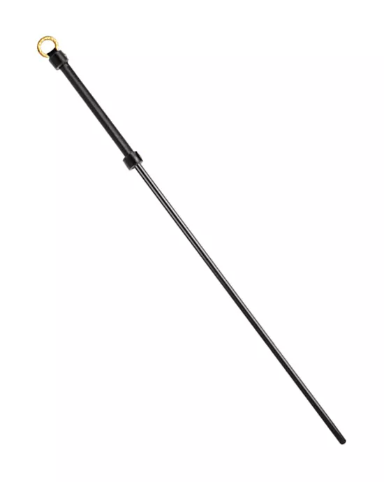 Sensual Spanking Stick
