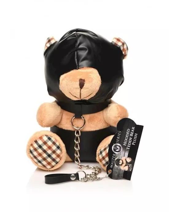 Ms Hooded Teddy Bear 