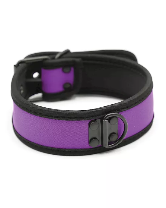 Plesur Neoprene Puppy Collar - Purple