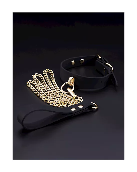 Silicone Collar With Leash