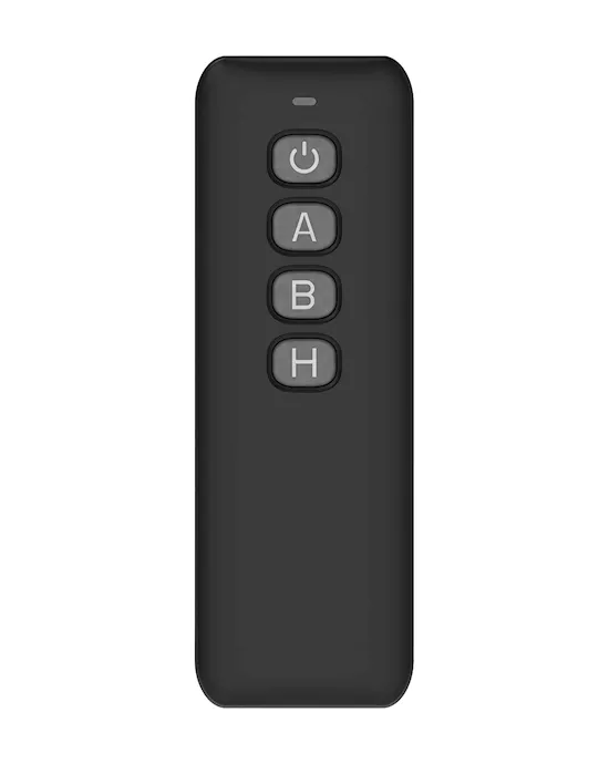 Aureum X8B & 525B Sex Machine Remote Control