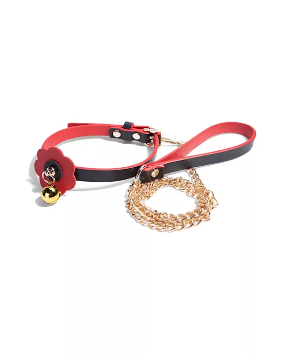 Frost Collar and Leash