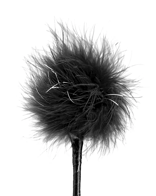 FF FEATHER CROP BLACK